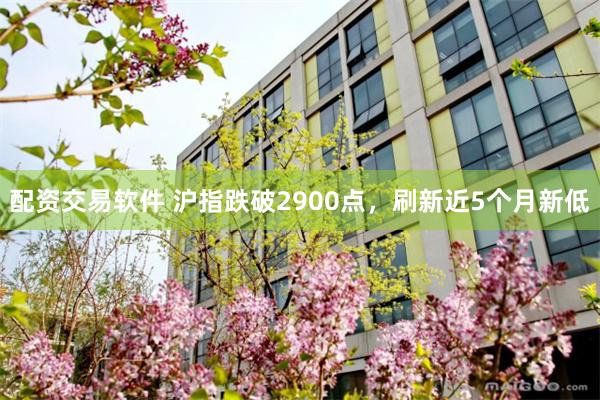 配资交易软件 沪指跌破2900点，刷新近5个月新低