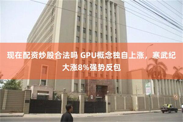 现在配资炒股合法吗 GPU概念独自上涨，寒武纪大涨8%强势反包