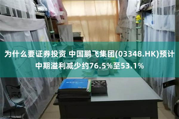 为什么要证券投资 中国鹏飞集团(03348.HK)预计中期溢利减少约76.5%至53.1%