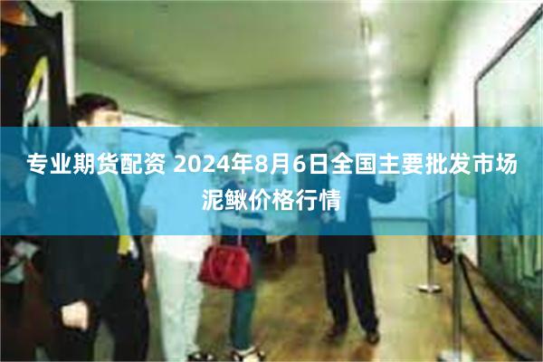 专业期货配资 2024年8月6日全国主要批发市场泥鳅价格行情