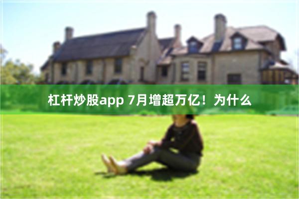 杠杆炒股app 7月增超万亿！为什么