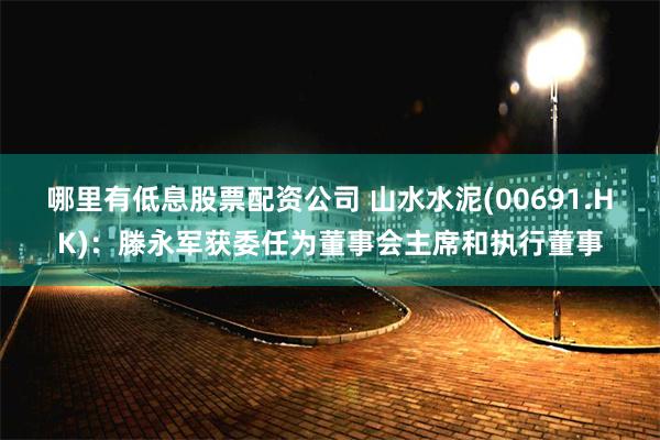 哪里有低息股票配资公司 山水水泥(00691.HK)：滕永军获委任为董事会主席和执行董事