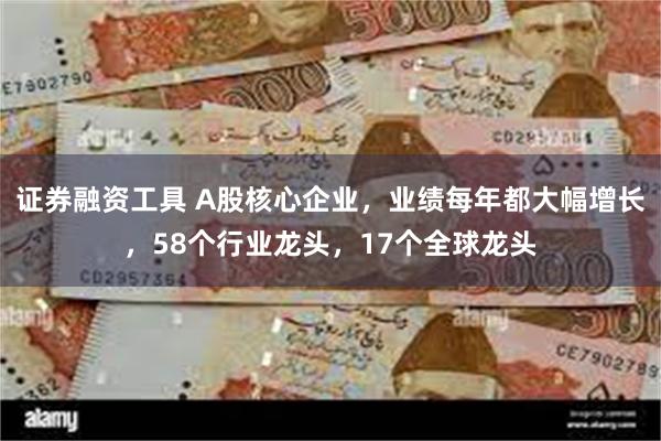 证券融资工具 A股核心企业，业绩每年都大幅增长，58个行业龙头，17个全球龙头