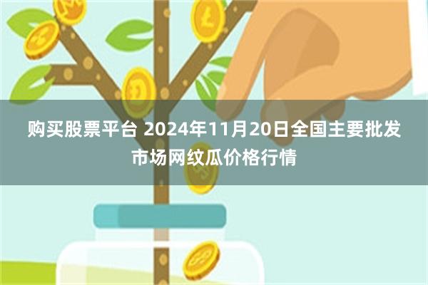 购买股票平台 2024年11月20日全国主要批发市场网纹瓜价格行情