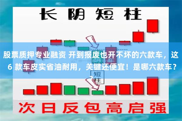 股票质押专业融资 开到报废也开不坏的六款车，这 6 款车皮实省油耐用，关键还便宜！是哪六款车？