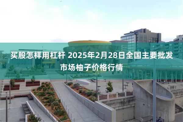 买股怎样用杠杆 2025年2月28日全国主要批发市场柚子价格行情